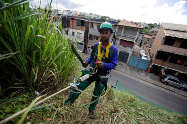 Salvador, Bahia / Brezilya - 16 Mayıs 2016: Gari, Salvador 'un Narandiba semtindeki yamaçta çalı kesmek için iplik tekniği kullanır. * * * Yerel altyazı * *
