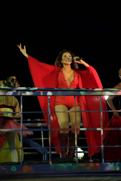 Salvador Bahia Brésil Février 2018 Chanteuse Daniela Mercury Est Vue — Photo