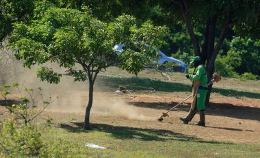 Salvador, Bahia / Brezilya - 27 Ocak 2017: İşçi, Salvador şehrinde Avenida Luiz Viana 'nın çimlerini biçmek için rockçı kullanırken toz kaldırıyor