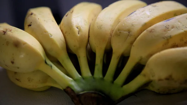 Salvador Bahia Brazil Maja 2020 Banany Widziane Mieście Salvador — Zdjęcie stockowe