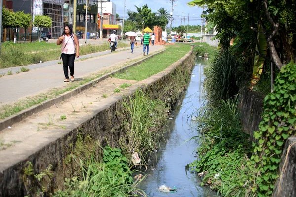 2017 Salvador Bahia Brazil November View Muriqueira River Channel City — 스톡 사진