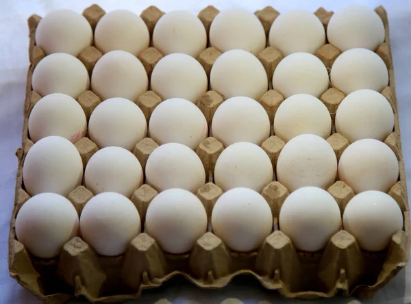 Salvador Bahia Brasil Maio 2020 Ovos Galinha São Vistos Armazenados — Fotografia de Stock