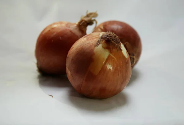 Salvador Bahia Brazil May 2020 Onions Seen City Salvador — Stock Photo, Image