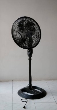 Salvador, Bahia Brezilya - 27 Mayıs 2020: Salvador 'da bir dairede bir hayran görüldü.