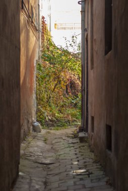 Eski şehirde küçük bir avlu.