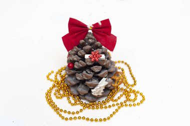 Sedir çam kozalağı