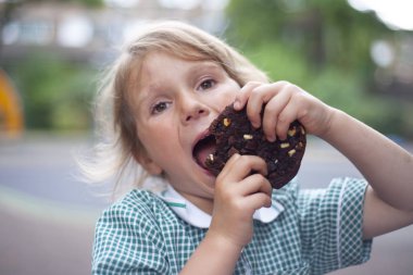 çikolatalı kurabiye