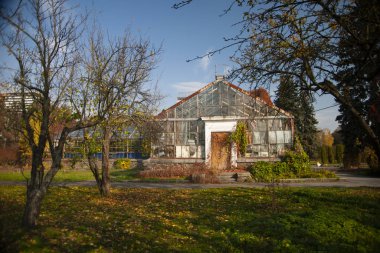 Sonbaharda parkta güzel bir sera.