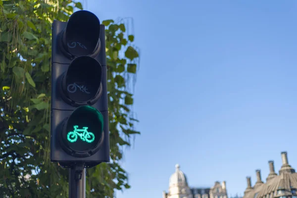 Green light of traffic light for the bicycle.