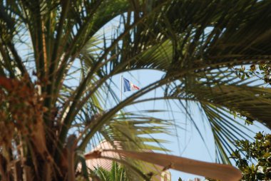 Güzel - Fransa - 06 Eylül 2014 - Fransa bayrağı palmiyeleri sardı.