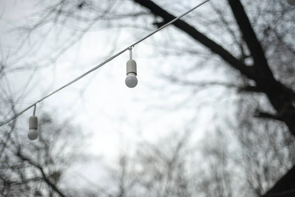 White Light Bulbs Cable Park — Stok fotoğraf