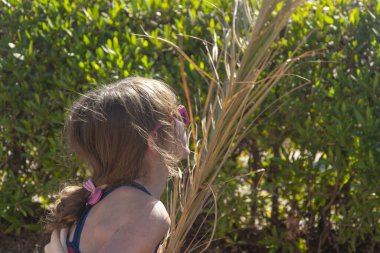 Çalının arkasında avuç içi yaprakları olan küçük yaz kızı..