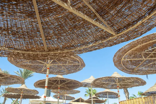 Bodem Uitzicht Het Strand Stro Paraplu — Stockfoto