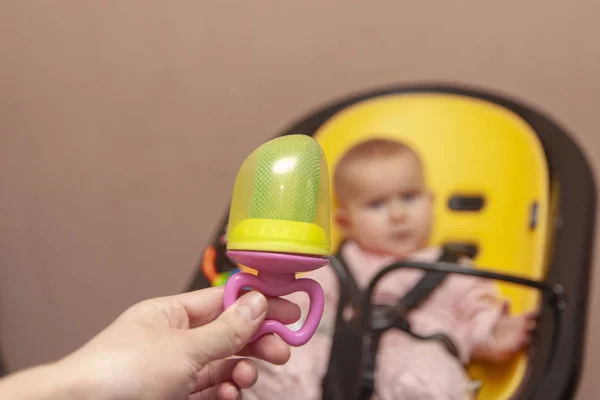 Alimentateur Pour Bebe Grignoteuse Sur Le Fond Du Bebe Bebe Grignotage Sain Stock Photo Alimentateur Pour Bebe Grignoteuse Sur Le Fond Du Bebe Bebe Grignotage Sain Stock Photo