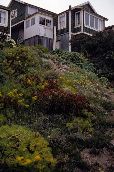 海岸の植物と険しい崖の上の古い海辺のキャビン — ストック写真