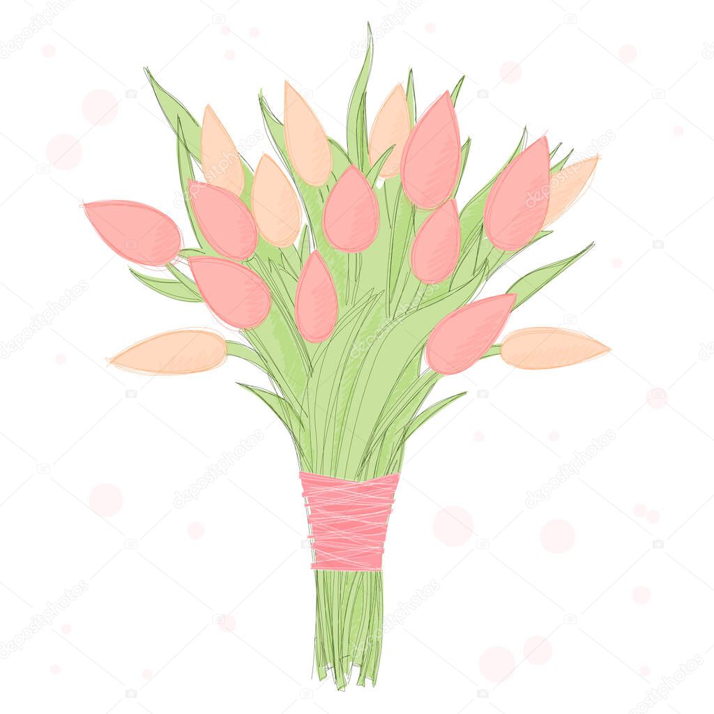 Bouquet of spring tulip flowers. Illustration in warm pink and coral color. Bunch of flowers tied with ribbon.
