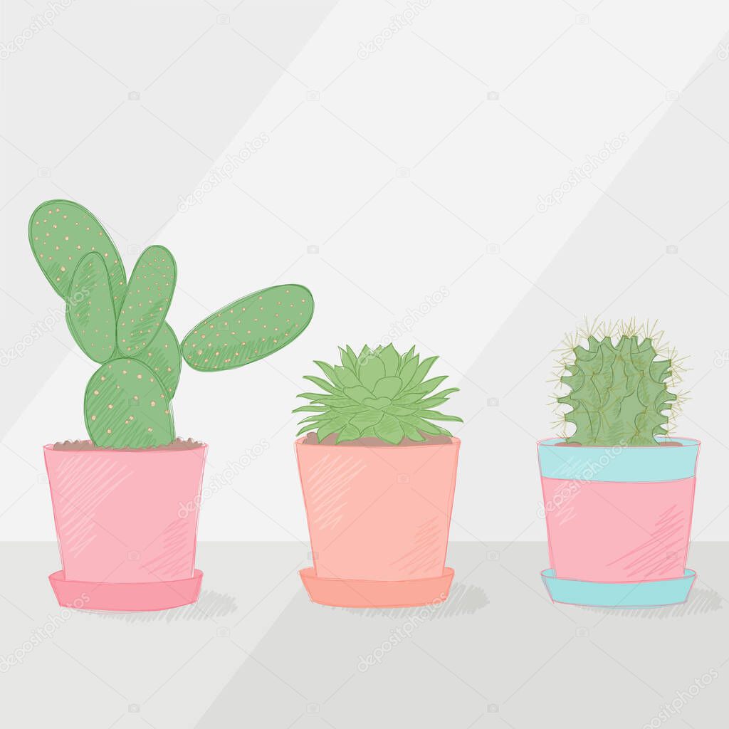 Three succulents in a flowerpot. Cactus and houseleek growing inside a pastel color pot. Spring, flower illustration.
