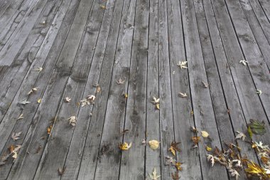 Gri ahşap zeminde sonbahar yaprakları