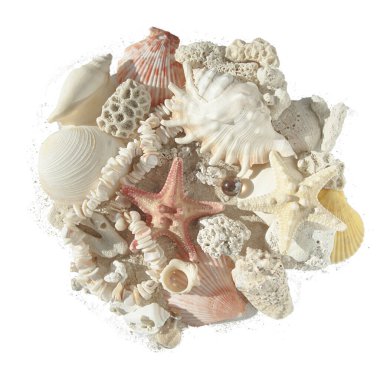 Kabuklardan, deniz yıldızlarından ve mercanlardan oluşan boncuklar bulanık beyaz bir zemin üzerinde bulanık bir üst görüşe sahipler.