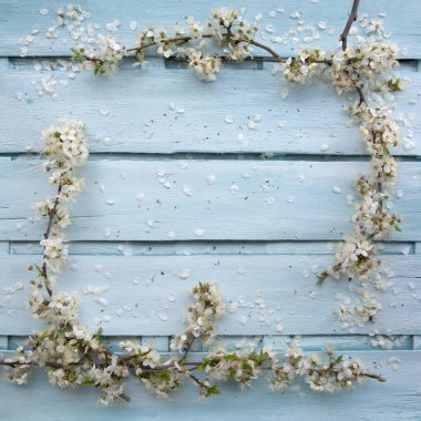 mavi ahşap zemin üzerinde çiçek açan kiraz dallarından gelen bahar arkaplan çerçevesi bulanık üst görünüm ile odak dışı