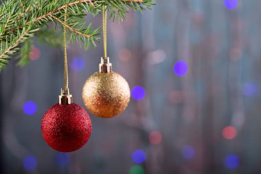 İki Noel topları köknar-ağaç üzerinde asılı