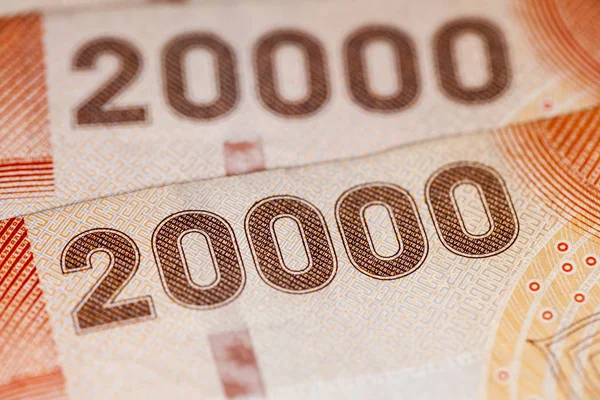 Primer plano de la moneda chilena — Foto de Stock