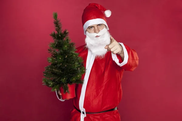 Santa Claus houdt een kerstboom in zijn hand — Stockfoto