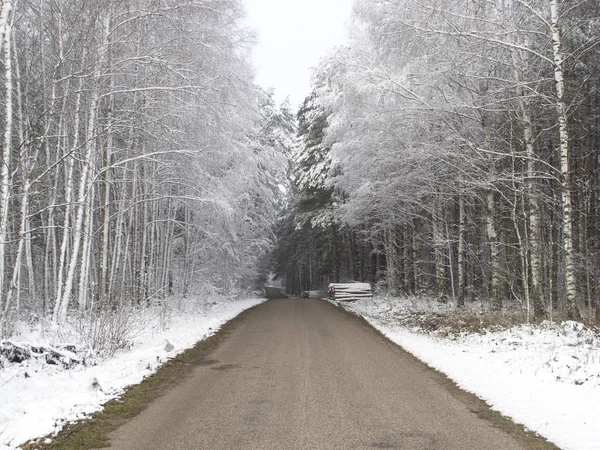The road is cleared of snow, runs through a snowy forest — Stock Photo, Image