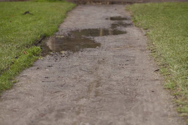 path covered with puddles