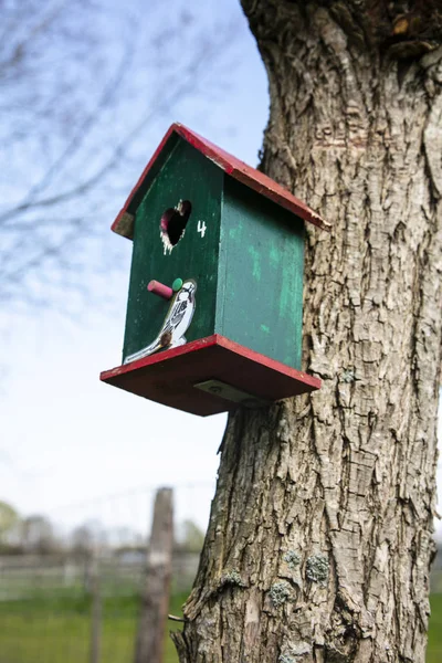 Birdhouse pendurado na árvore — Fotografia de Stock