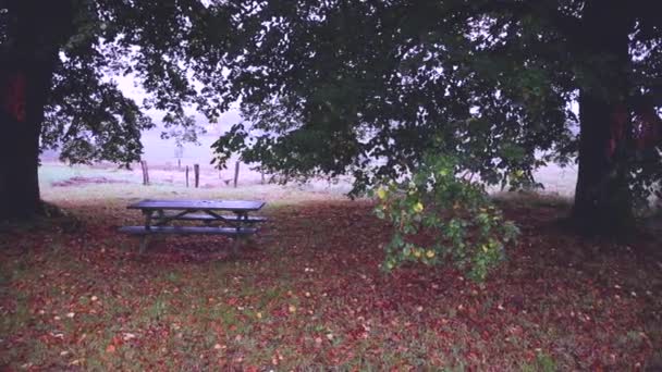 Table with benches in the park under a tree — Stock Footage Table Benches Park Tree Stock Video