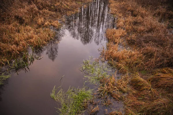 Uitzicht op de rivier tijdens sneeuwloze winter — Stockfoto