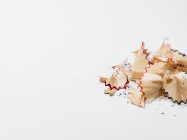 Renkli kalemleri açmaktan arta kalanlar, beyaz sırtlı cüce.