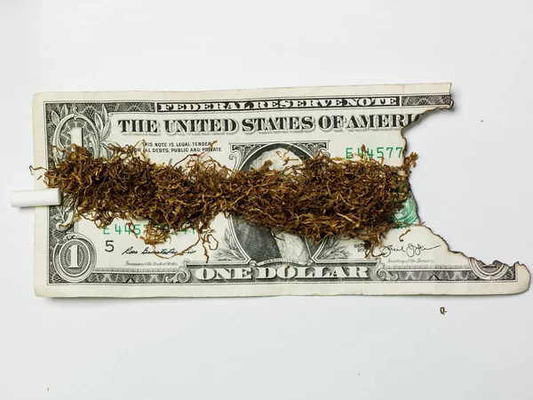 Tabaka na jednym dolarze, spalona moneta — Zdjęcie stockowe