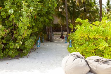 Palmiye ağaçları, Maldivler arasında bir tatil evi manzarası