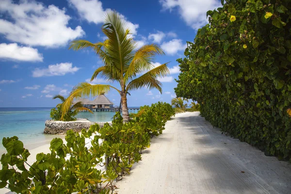 Дорога на острове, прекрасный вид на Маладивы — стоковое фото