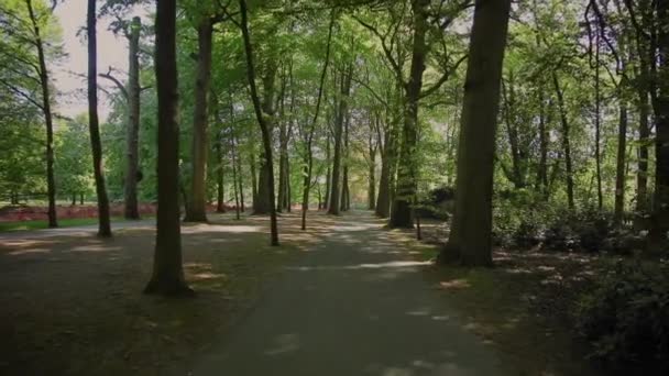公園の木々の間の路地を歩くと — ストック動画