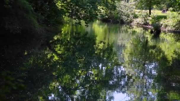 池塘和水面上的倒影 相机向岸边移动 — 图库视频影像