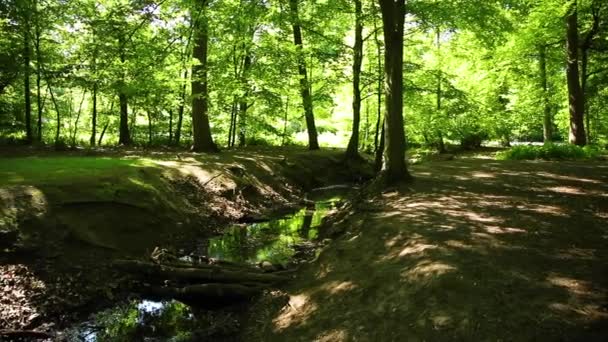 Langsame Kamerafahrt Über Die Wasserquelle Park — Stockvideo