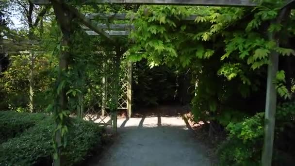 Wandelen Onder Een Tuinhuisje Begroeid Met Planten — Stockvideo