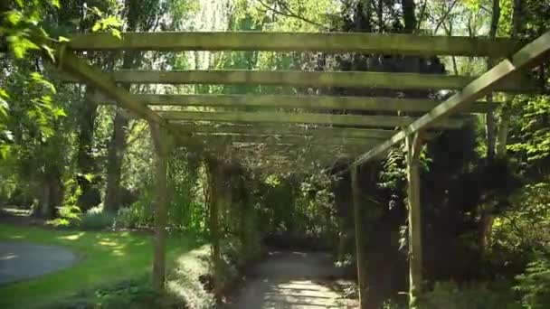 Spaziergang Unter Einem Mit Pflanzen Bewachsenen Pavillon Sonneneruption Fällt Die — Stockvideo