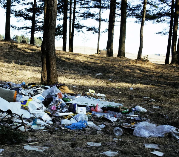 Garbage in forest, problems of environment