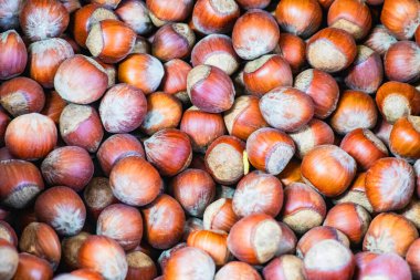 Kabuktaki fındıklar en iyi seçim. seçim çıtırtısı f