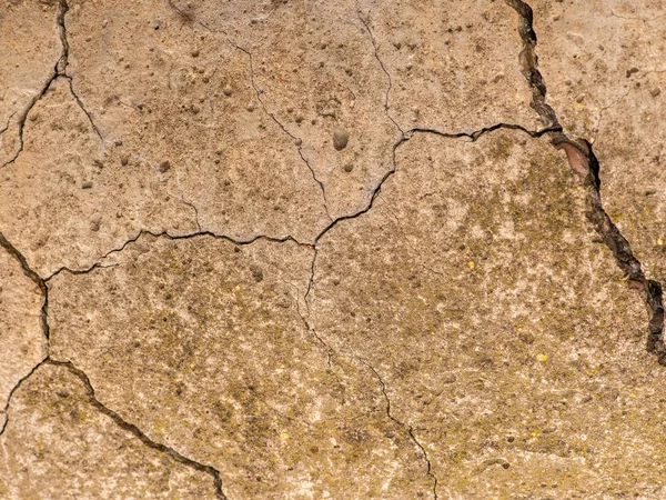 Cracked concrete texture closeup. Abstract cement background — Stock Photo, Image