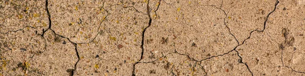 Cracked concrete texture closeup. Abstract cement background — Stock Photo, Image