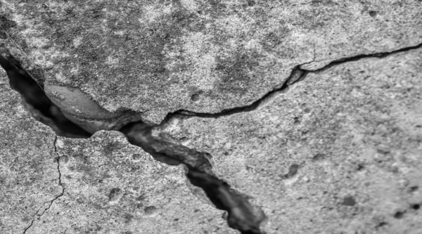 Abstract cement background. Cracked concrete texture closeup. — Stock Photo, Image