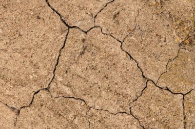 Çatlaklı eski beton ve zaman ve hava koşullarından kaynaklanan doğal yıkım
