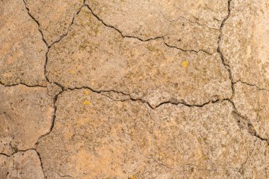 Çatlaklı eski beton ve zaman ve hava koşullarından kaynaklanan doğal yıkım