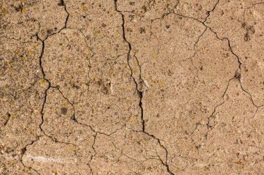 Çatlaklı eski beton ve zaman ve hava koşullarından kaynaklanan doğal yıkım