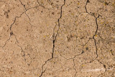 Çatlaklı eski beton ve zaman ve hava koşullarından kaynaklanan doğal yıkım